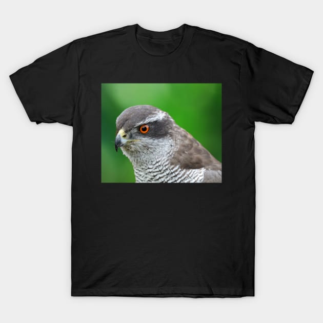 Goshawk accipiter gentilis native Bird T-Shirt by lermanmperrodin